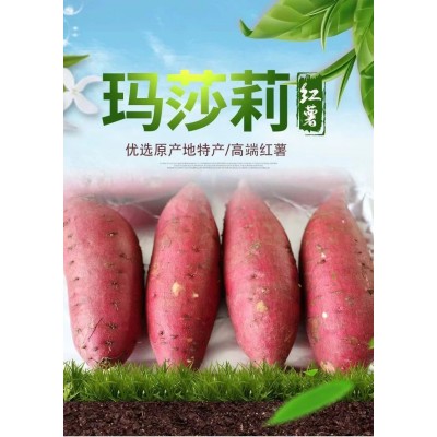 日本玛莎莉红薯高端品种红皮黄肉现挖现卖老少皆宜图3