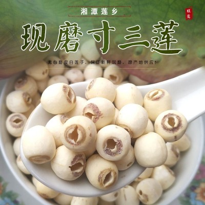 大颗湘潭莲子干货500g无芯莲子米去芯磨皮白莲子去心湘莲湖南产地图4