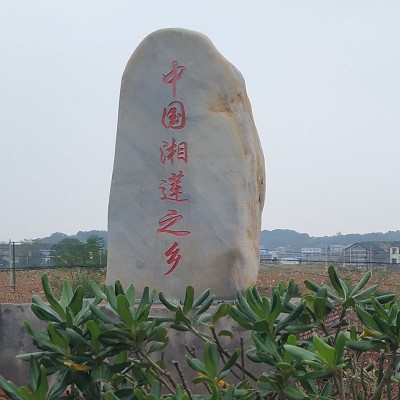 湘潭开边红莲子碎片湘莲子半边去芯开边莲子碎莲500g干货月饼莲蓉图3