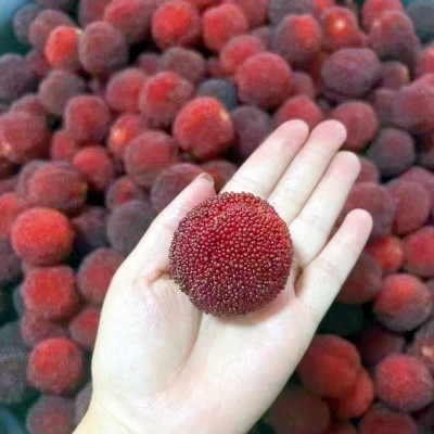 浙江仙居东魁新鲜杨梅鲜果当季水果现摘现发顺丰冷链颗粒礼品图3