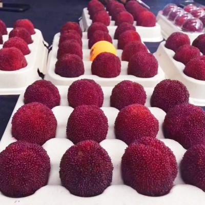 杨梅新鲜仙居东魁杨梅鲜果新鲜水果现摘现发当季孕妇大杨梅3斤6斤图2