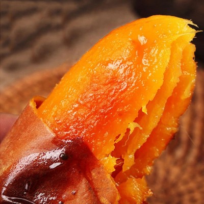 山东烟台正宗烟薯25号红薯图4