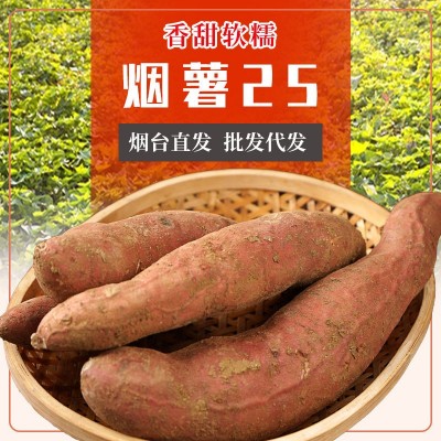 现货批发山东烟台烟薯25号红薯新鲜香甜沙地蜜薯烤地瓜5斤 装流油图2