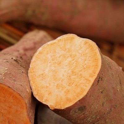 现货批发山东烟台烟薯25号红薯新鲜香甜沙地蜜薯烤地瓜5斤 装流油图4