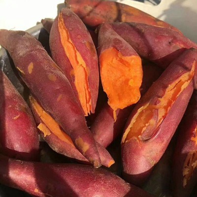 现货批发山东烟台烟薯25号红薯新鲜香甜沙地蜜薯烤地瓜5斤 装流油图5