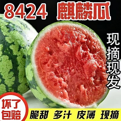 现摘冰糖8424麒麟西瓜水果新鲜10斤孕妇当季整箱大小甜瓜 类保包熟图2