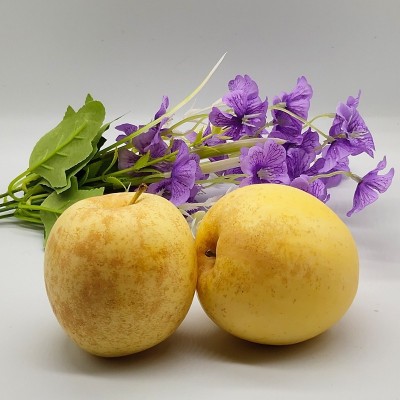 网纹山东烟台黄金奶油富士苹果脆甜多汁批发现摘现发黄金富士苹果图3