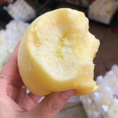 山东烟台苹果黄金奶油富士苹果黄金果脆甜当季新鲜水果冰糖心苹果图3