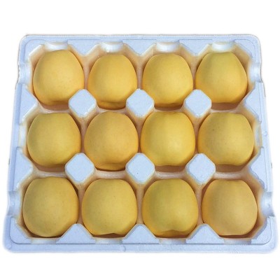 厂家现货黄金帅苹果 5斤粉面软面黄元帅 整箱辅食新鲜黄元帅苹果图4