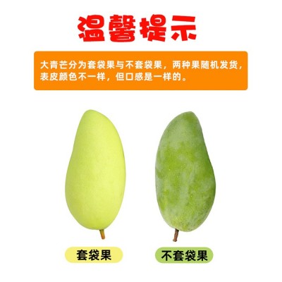 产地直供 越南大青芒9斤装金煌芒大青 芒果当季水果一件代发图4