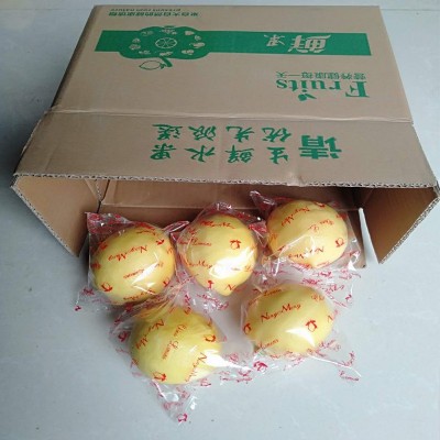 四川安岳黄柠檬新鲜水果皮薄多汁大，中，小果10个起包邮发奶茶果图2