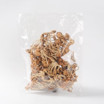 鑫吉食用菌美珍珠菇香菇批发 山珍美货滑子菇去根煲汤味500g散装图4