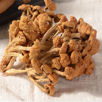 鑫吉食用菌美珍珠菇香菇批发 山珍美货滑子菇去根煲汤味500g散装图5