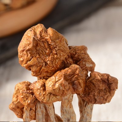 鑫吉食用菌美珍珠菇香菇批发 山珍美货滑子菇去根煲汤味500g散装图2