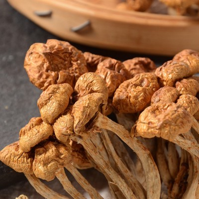 鑫吉食用菌美珍珠菇香菇批发 山珍美货滑子菇去根煲汤味500g散装图3