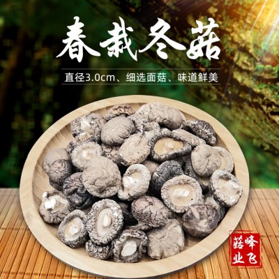 产地纯面3.0cm南阳产地食用农产品种植冬菇干货批发图3