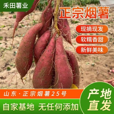 糖化烤薯50斤农场营养生现挖香甜糯流油红薯小番薯西瓜红新鲜地瓜图2