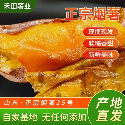 糖化烤薯50斤农场营养生现挖香甜糯流油红薯小番薯西瓜红新鲜地瓜图3