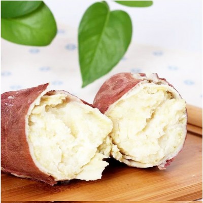 新鲜沙地地瓜板栗薯蜜薯红皮白心红薯山芋粉面番薯批发非红心白薯图3