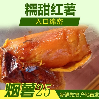 产地直供唐山 烟薯25 蜜薯 规格6-1.2两 50斤装软糯甜地瓜红薯图2