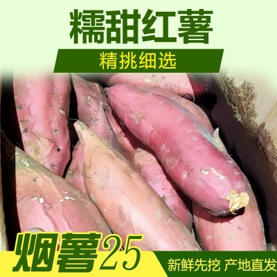 产地直供唐山 烟薯25 蜜薯 规格6-1.2两 50斤装软糯甜地瓜红薯图3