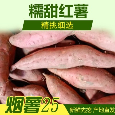 产地直供唐山 烟薯25 蜜薯 规格6-1.2两 50斤装软糯甜地瓜红薯图4