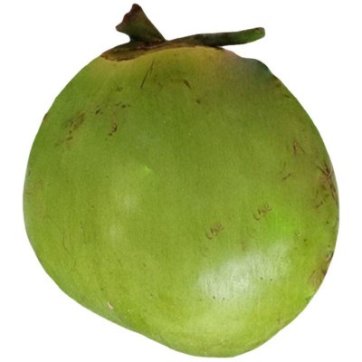 海南带皮椰青新鲜椰子大椰青孕妇水果补羊水厂家现摘现发免邮椰肉图5