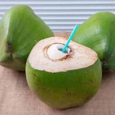海南带皮椰青新鲜椰子大椰青孕妇水果补羊水厂家现摘现发免邮椰肉图4