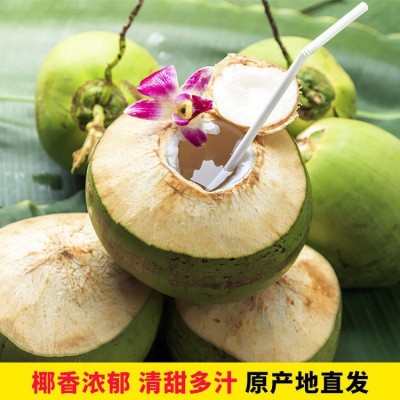 海南带皮椰青新鲜椰子大椰青孕妇水果补羊水厂家现摘现发免邮椰肉图2