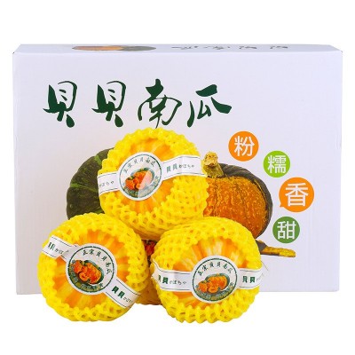 【严选】礼盒装 黄金贝贝南瓜 桔瓜太阳果迷你小南瓜宝宝辅食代发图2