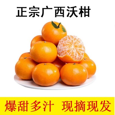 有机沃柑广西沃柑新鲜水果当季水果整箱桔子柑橘现摘包邮沃柑批发图3