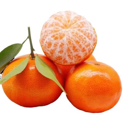 有机沃柑广西沃柑新鲜水果当季水果整箱桔子柑橘现摘包邮沃柑批发图5