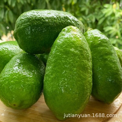 海南无籽香水柠檬新鲜奶茶店专用批发长条青柠檬一级包邮子弹头5图4