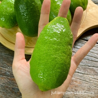 海南无籽香水柠檬新鲜奶茶店专用批发长条青柠檬一级包邮子弹头5图2