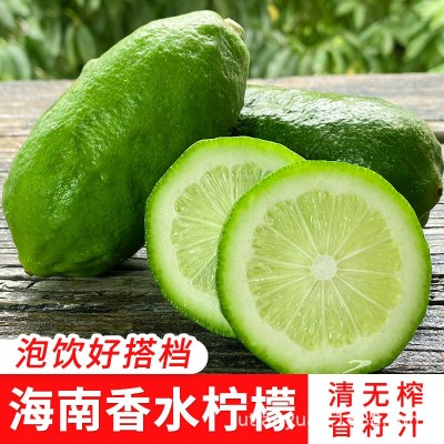海南无籽香水柠檬新鲜奶茶店专用批发长条青柠檬一级包邮子弹头5图5