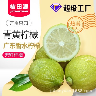 新鲜香水柠檬5斤包邮二级果无籽四季奶茶店专用薄皮厚皮青黄柠檬图4