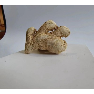 本土小黄姜 低硫 姜块 中药材调料 可打粉 干姜块批发厂家图3