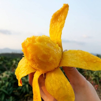 广西贵妃芒 代发1/9斤新鲜红金龙甜糯芒果应季孕妇水果礼盒非澳芒图4