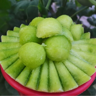 山东玉菇甜瓜 代发3/5斤新鲜应季水果礼品头茬冰激凌香瓜非网纹瓜图3