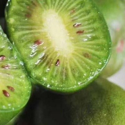 丹东软枣猕猴桃 鲜果东北奇异果莓小猕猴桃新鲜水果 软枣圆枣子图2