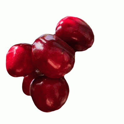 现摘现发大连大樱桃 美早红灯车厘子 3斤/箱应季时令新鲜水果图5