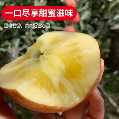 新疆阿克苏冰糖心苹果水果特级大果新鲜丑苹果整箱10斤顺丰包邮图2