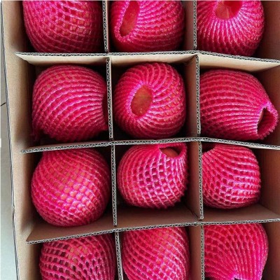 丹东河口艳红桃子 现摘现发新鲜水果水蜜桃 脆甜可口毛桃10斤图5