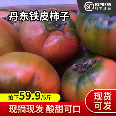 丹东铁皮柿子 新鲜采摘东北特产水果番茄 绿腚生吃草莓西红柿图5