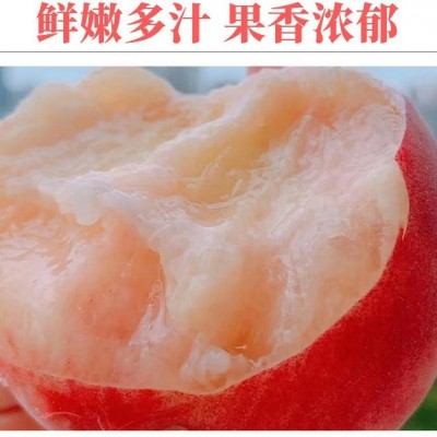 四川龙泉水蜜桃京东空运香甜爽口水蜜桃新鲜水果一件代付孕妇水果图5