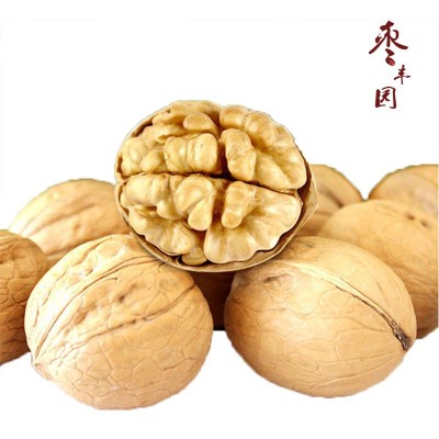 厂家现货供应新疆核桃散货 电商团购对接可袋装 33幸福薄皮核桃图5