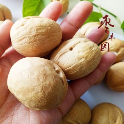 厂家现货供应新疆核桃散货 电商团购对接可袋装 33幸福薄皮核桃图2