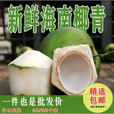 【品质】椰青海南椰青去皮新鲜椰子海南文昌2/9个装果王代发免邮图2