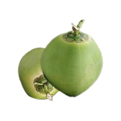 【品质】椰青海南椰青去皮新鲜椰子海南文昌2/9个装果王代发免邮图5