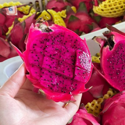 卓恬园 金都一号红心火龙果 新鲜现摘应季红肉火龙果孕妇水果图4